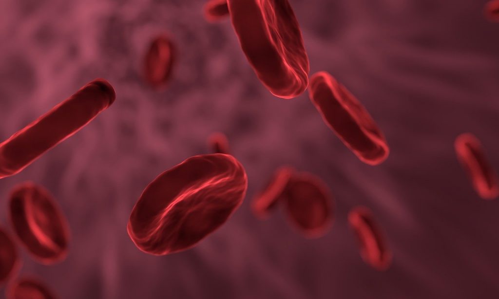 sangue globuli rossi